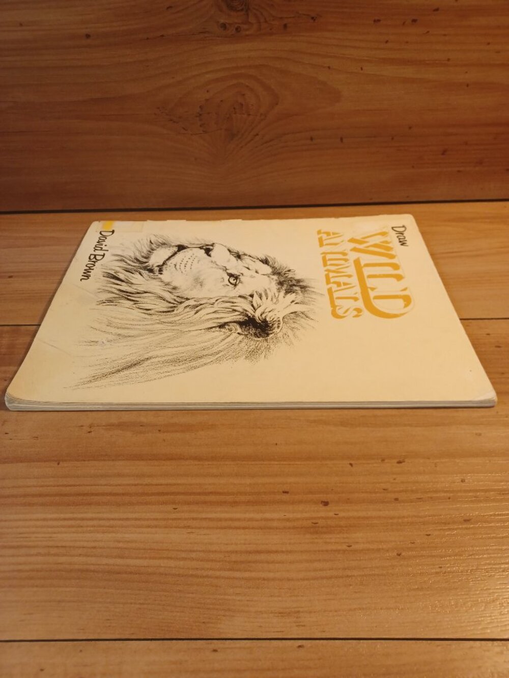 Draw Wild Animals Book - Picture 3 of 11